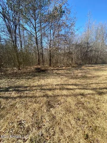 $1,275 | 769 Mays Road, Coldwater, MS 38618
