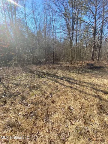 $1,275 | 769 Mays Road, Coldwater, MS 38618