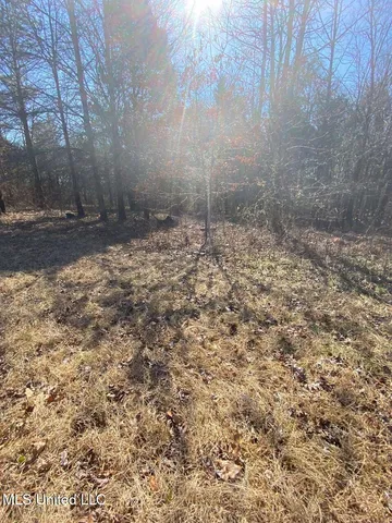 $1,275 | 769 Mays Road, Coldwater, MS 38618