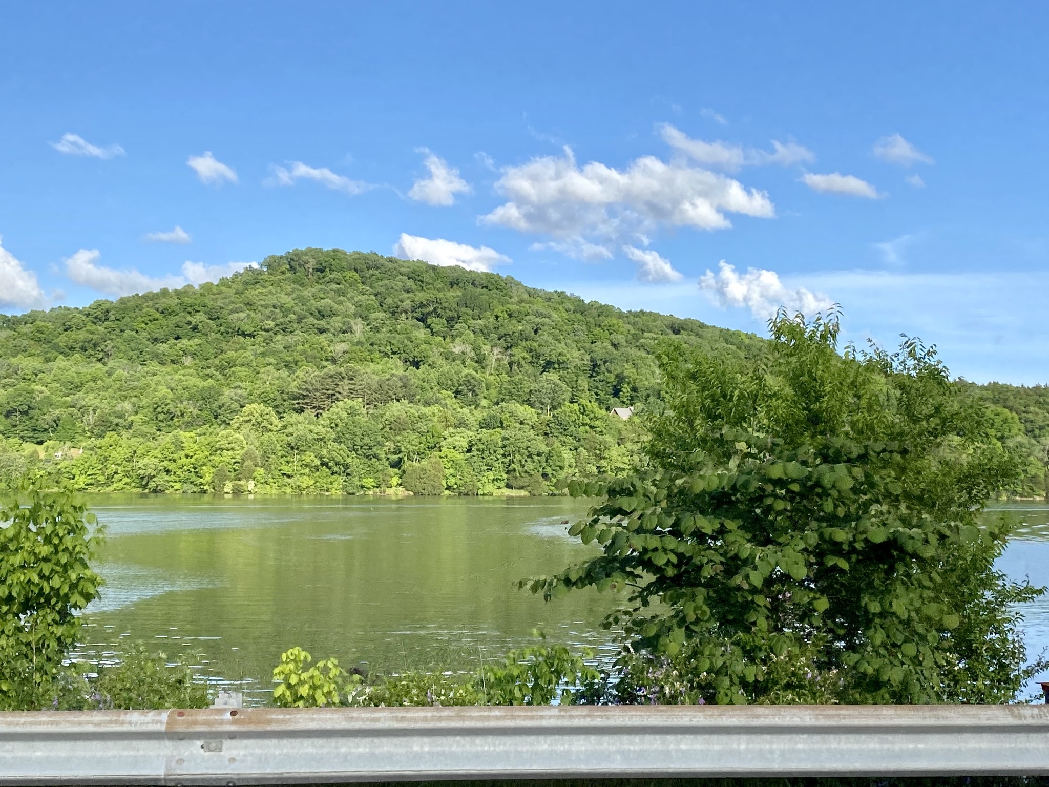 57 Lakeside Drive Carthage, TN 37030 - Photo 12 of 34 a view of a lake
