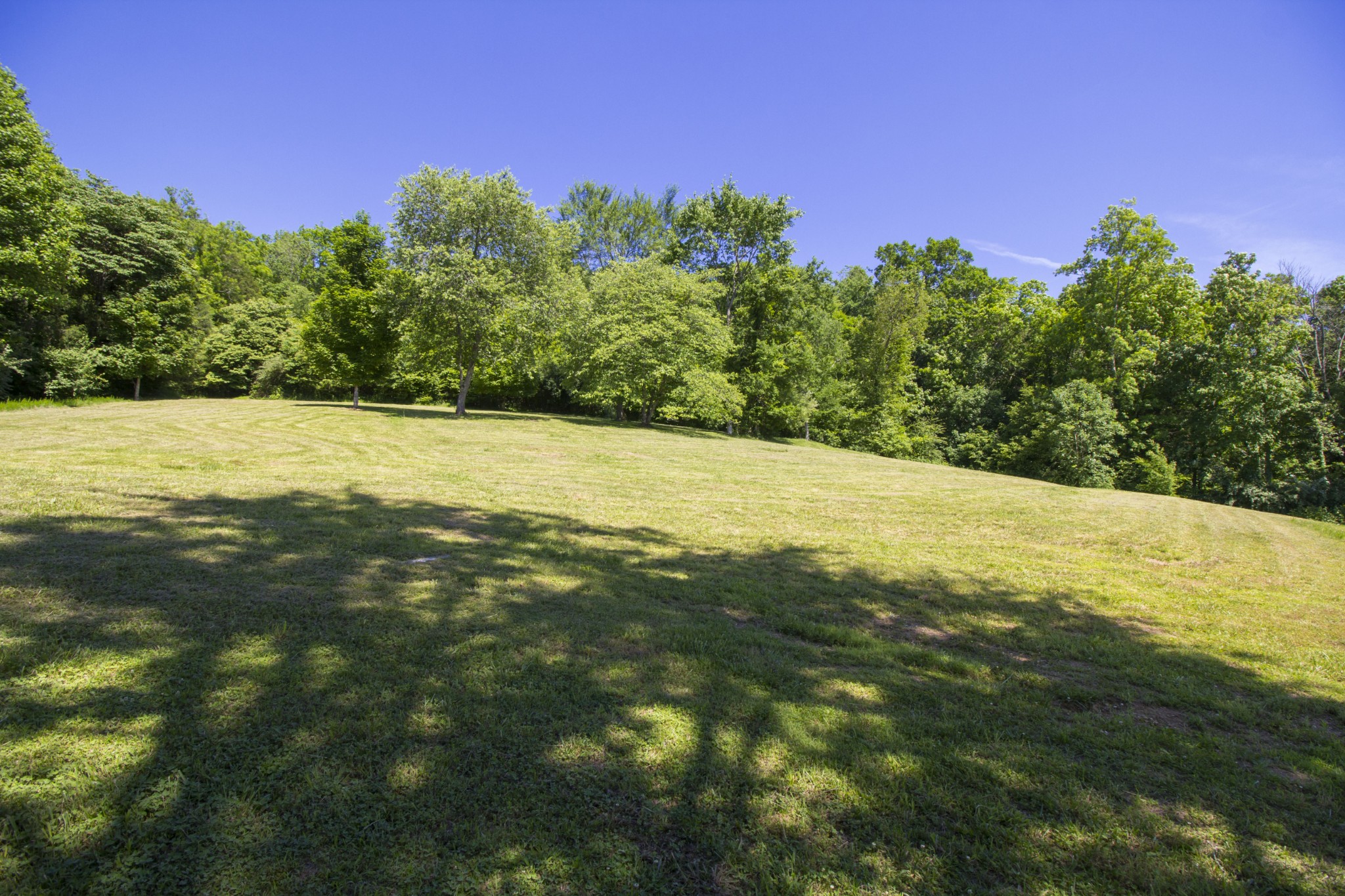 57 Lakeside Drive Carthage, TN 37030 - Photo 6 of 34 a view of an ocean and a yard