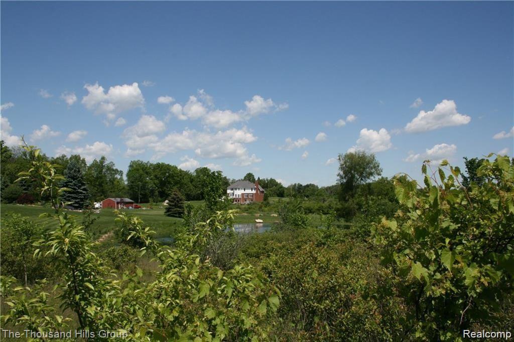 0 Warren Road Plymouth, MI 48170 - Photo 10 of 10 Warren Rd Pic 9.jpg