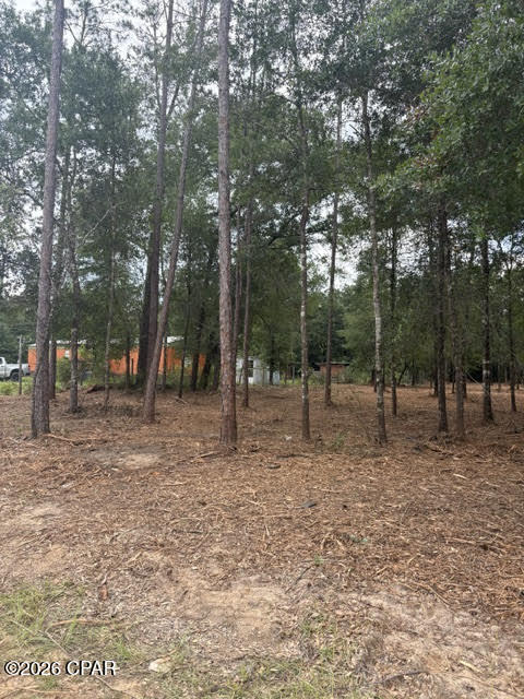 0 Forest Glen Road Fountain, FL 32438 - Photo 6 of 10
