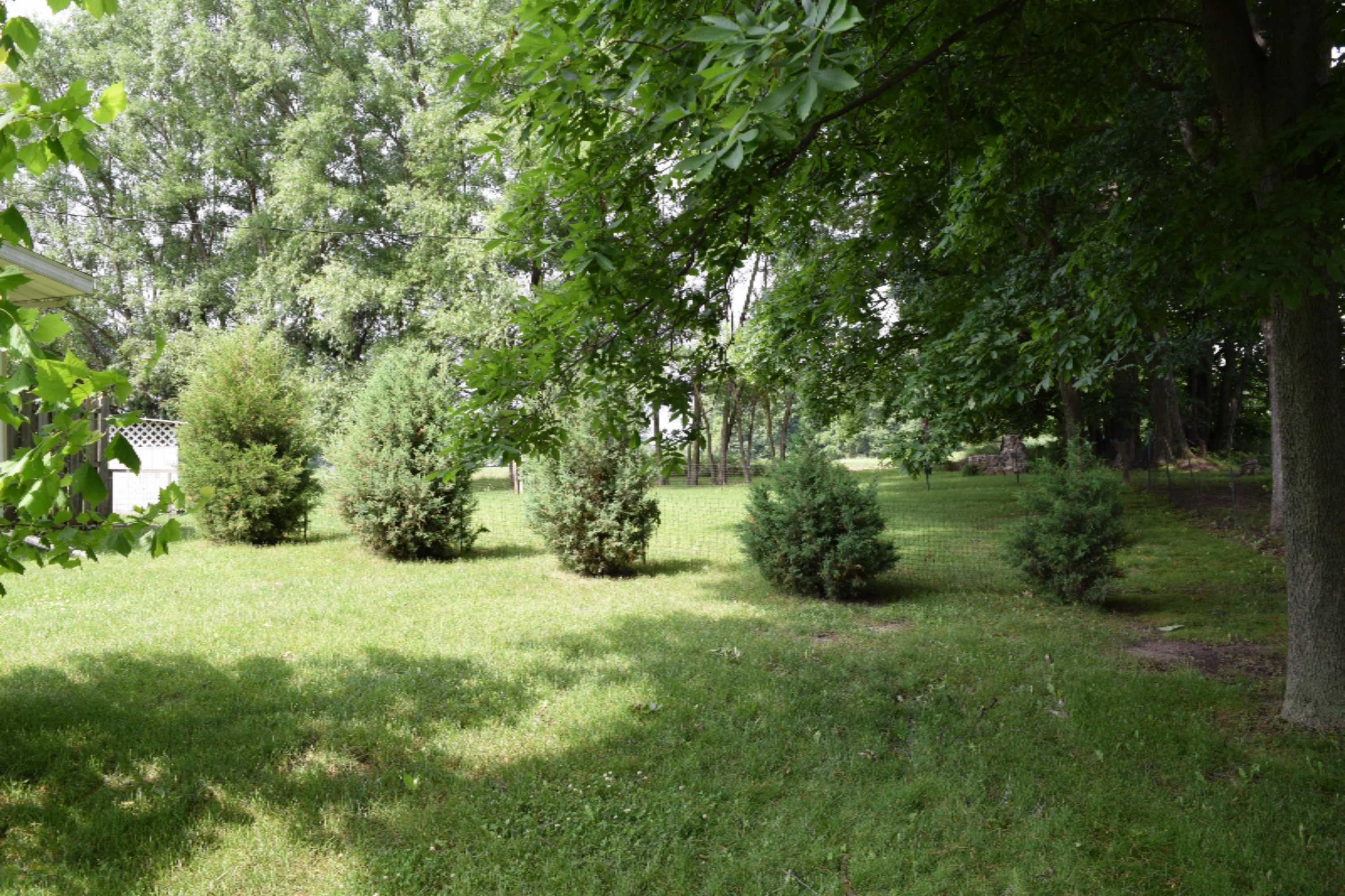 404 South Angola Road Coldwater, MI 49036 - Photo 8 of 16 DSC_0336