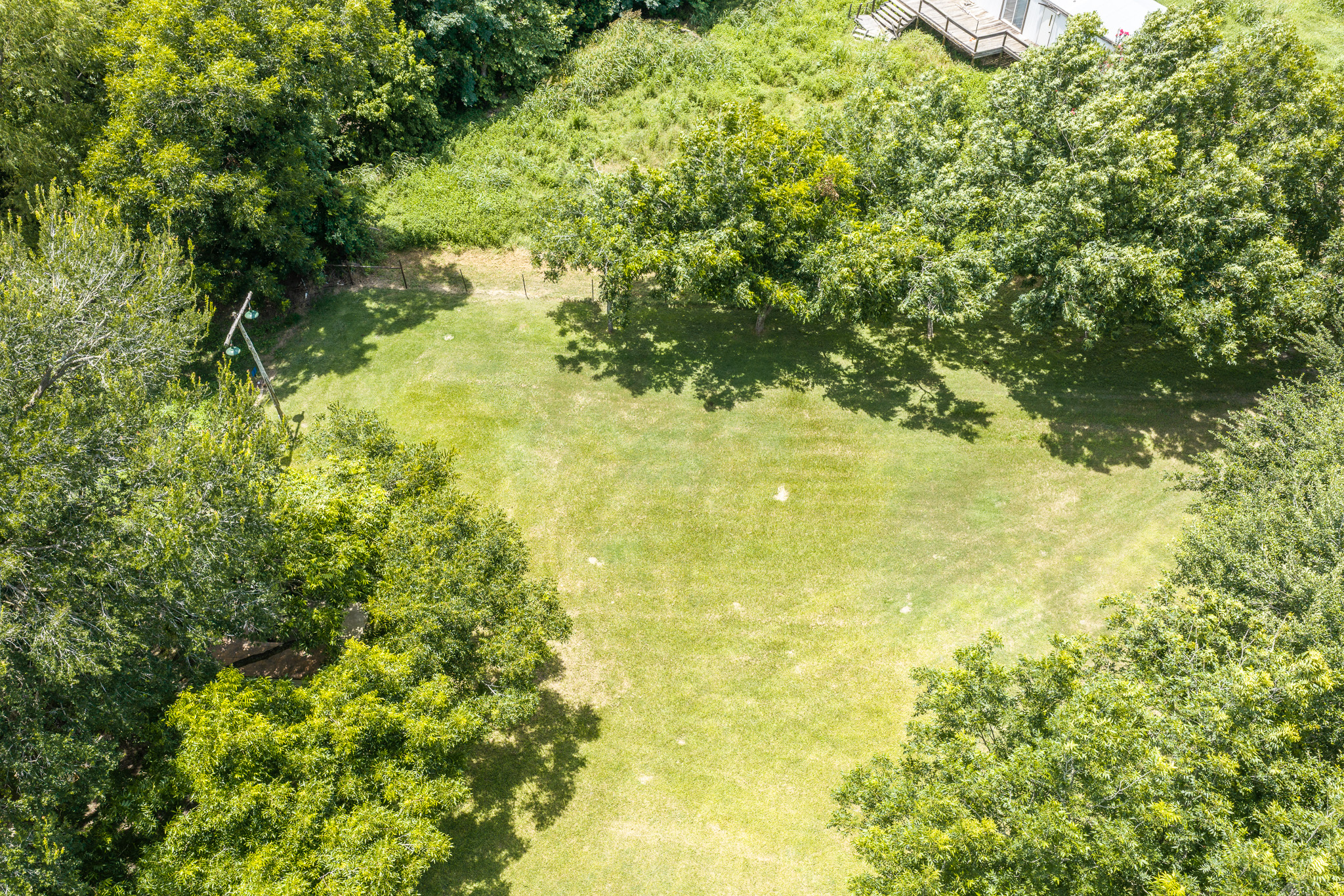 Tbd Goodwin Road Gonzales, TX 78629 - Photo 29 of 33 A spacious, verdant lot awaits with mature trees and ample room for future development.