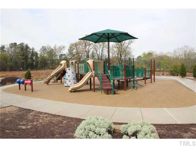 4461 Snowcrest Lane Raleigh, NC 27616 - Photo 22 of 25 a view of a park with slide