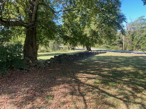 445 Prospect Road Pulaski, TN 38478 - Photo 32 of 70 a view of a trees with a yard