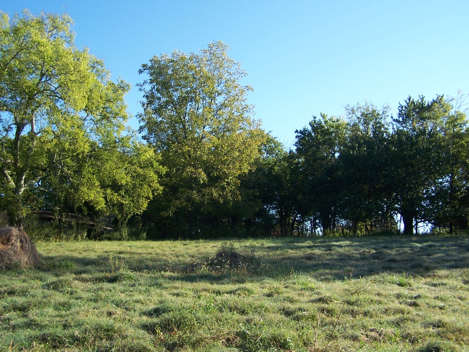 445 Prospect Road Pulaski, TN 38478 - Photo 54 of 70 a view of a park