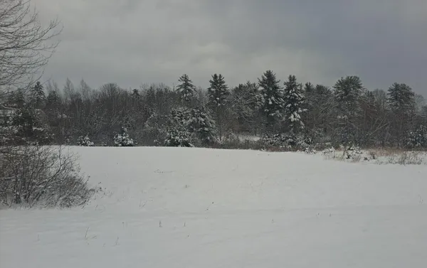 $110,000 | Tbd Tbd Sokokis Trail, Limerick, ME 04048