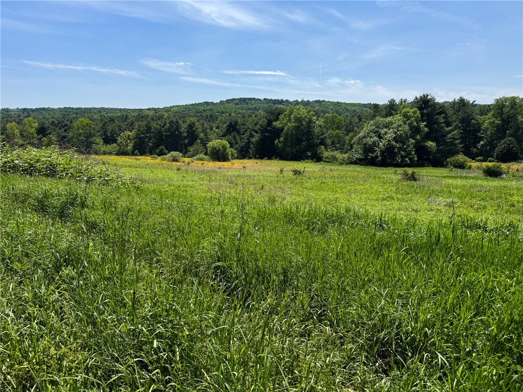 Copes Corners Road South New Berlin, NY 13843 - Photo 6 of 10