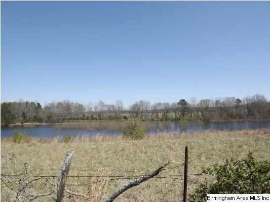 2470 Bon Air Road Sylacauga, AL 35150 - Photo 3 of 20