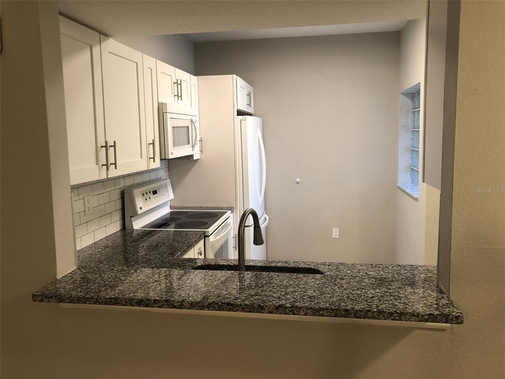 6021 Portsdale Place, Unit 101 Riverview, FL 33578 - Photo 4 of 19