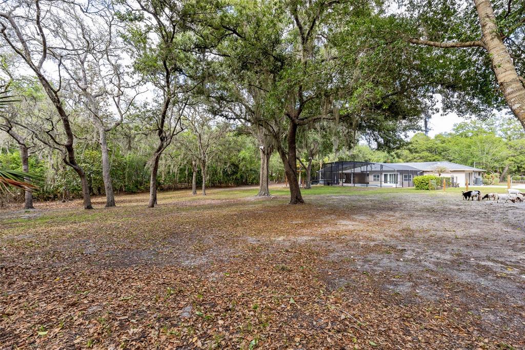 330 Hayes Road Winter Springs, FL 32708 - Photo 41 of 58 Gallery Image 41