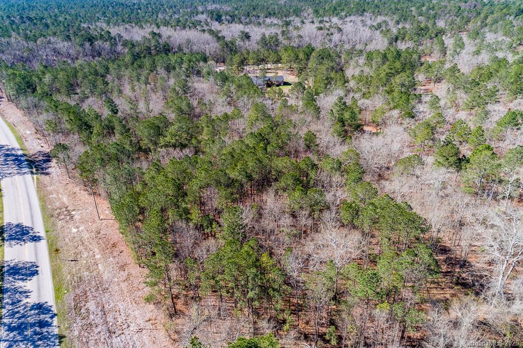 2901 (10 Acre Lot) Screaming Eagle Road Lugoff, SC 29078 - Photo 1 of 10 a view of a forest with a tree