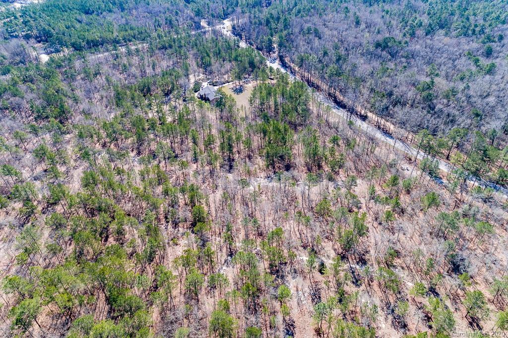 2901 (10 Acre Lot) Screaming Eagle Road Lugoff, SC 29078 - Photo 2 of 10 a view of a yard with a plant