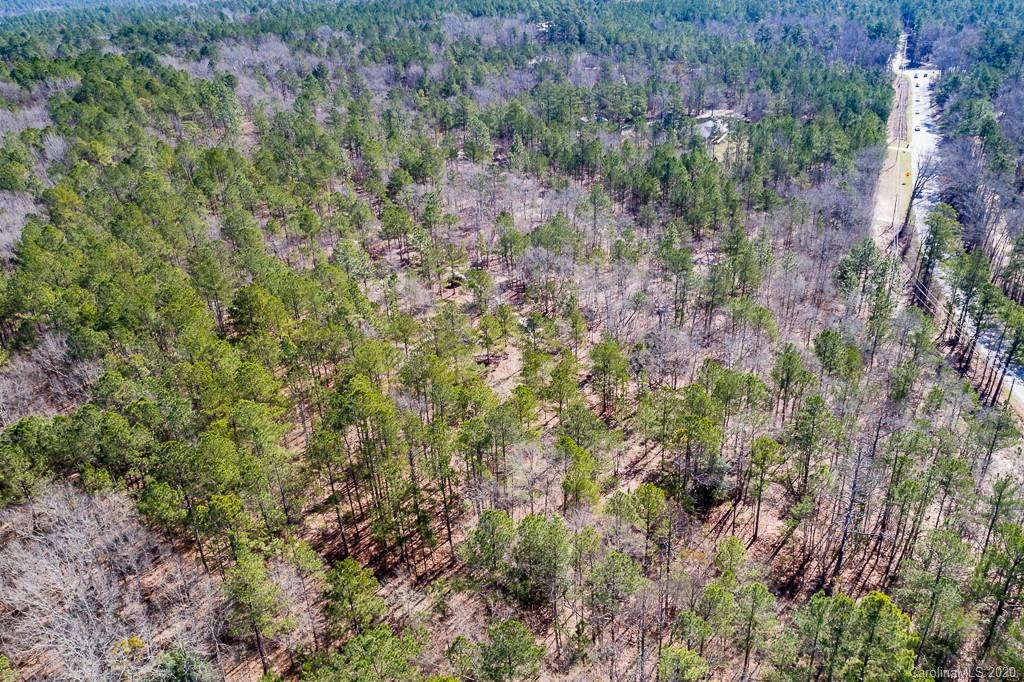 2901 (10 Acre Lot) Screaming Eagle Road Lugoff, SC 29078 - Photo 3 of 10 a view of a forest with a tree