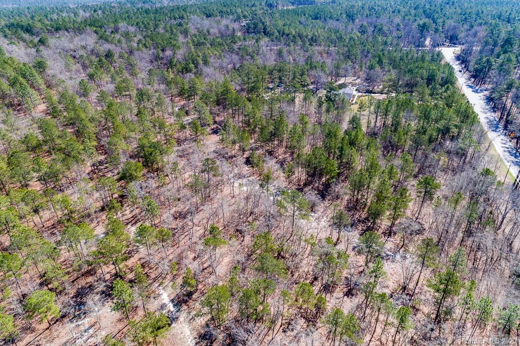 2901 (10 Acre Lot) Screaming Eagle Road Lugoff, SC 29078 - Photo 4 of 10 a view of a lake with lots of trees