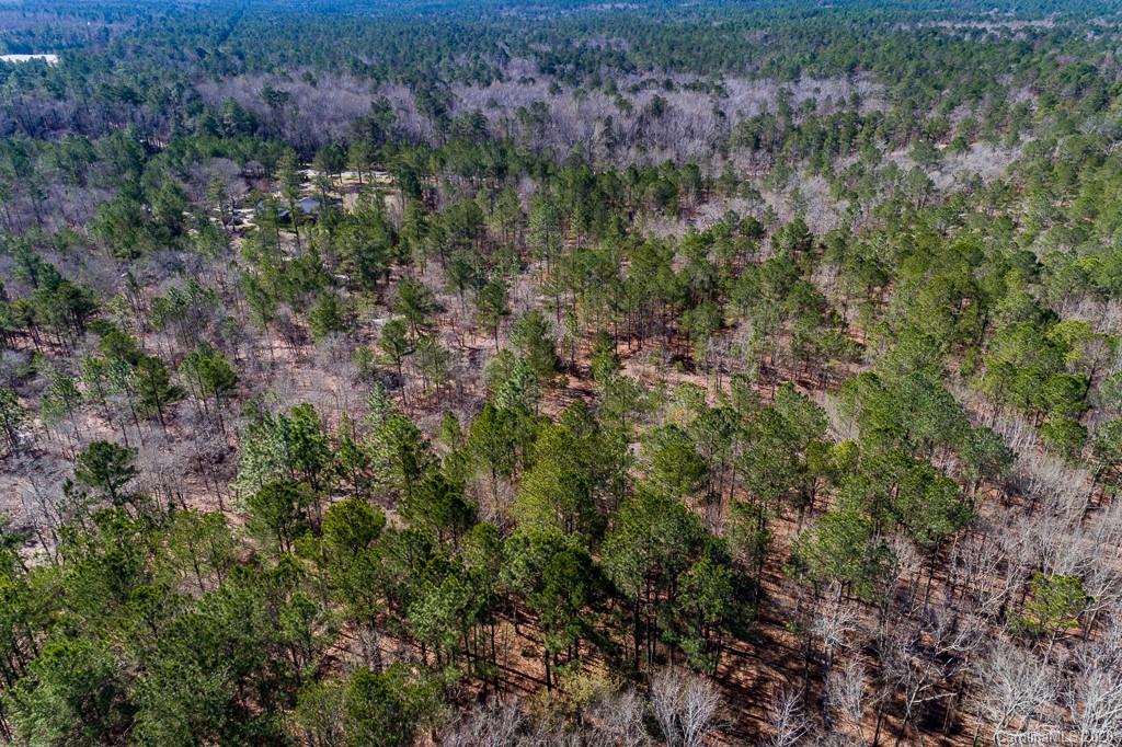 2901 (10 Acre Lot) Screaming Eagle Road Lugoff, SC 29078 - Photo 7 of 10 a view of a forest with a street