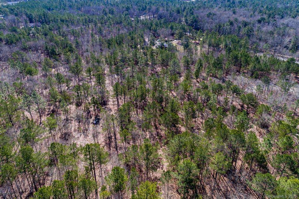 2901 (10 Acre Lot) Screaming Eagle Road Lugoff, SC 29078 - Photo 8 of 10 a view of a forest with a lush green forest