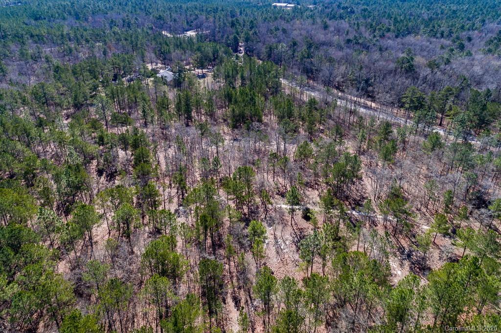 2901 (10 Acre Lot) Screaming Eagle Road Lugoff, SC 29078 - Photo 9 of 10 a view of a forest with a forest