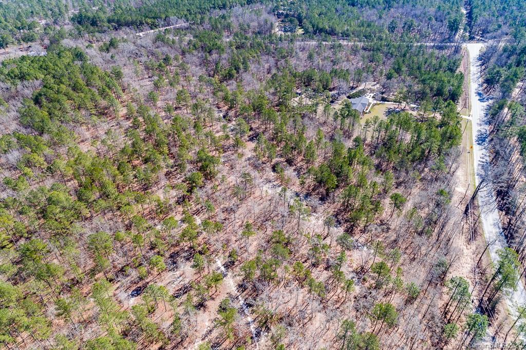 2901 (10 Acre Lot) Screaming Eagle Road Lugoff, SC 29078 - Photo 10 of 10 a view of a forest with a tree