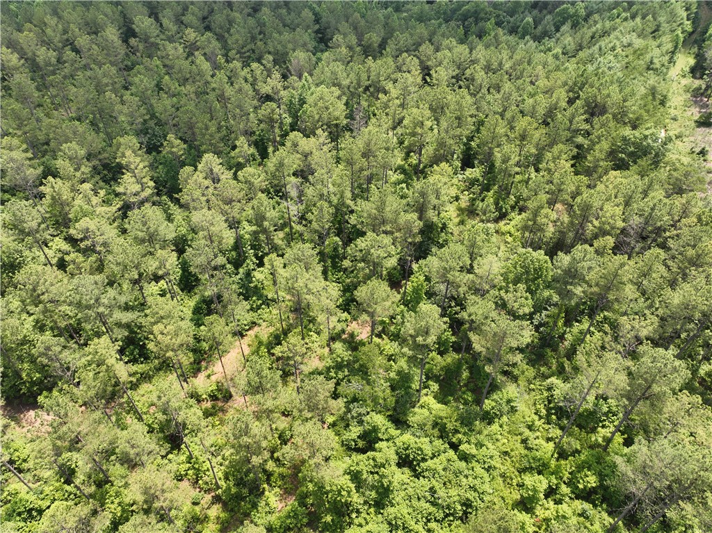 5 Battlecreek Road Long Creek, SC 29658 - Photo 11 of 14 Gallery Image 11