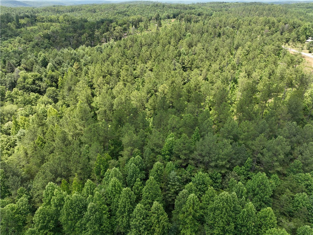 5 Battlecreek Road Long Creek, SC 29658 - Photo 12 of 14 Gallery Image 12