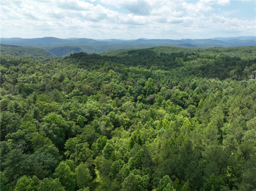 5 Battlecreek Road Long Creek, SC 29658 - Photo 13 of 14 Gallery Image 13