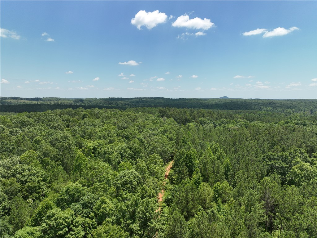 5 Battlecreek Road Long Creek, SC 29658 - Photo 2 of 14 Gallery Image 2