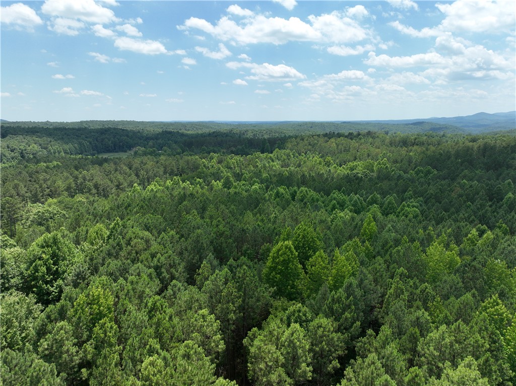 5 Battlecreek Road Long Creek, SC 29658 - Photo 10 of 14 Gallery Image 10