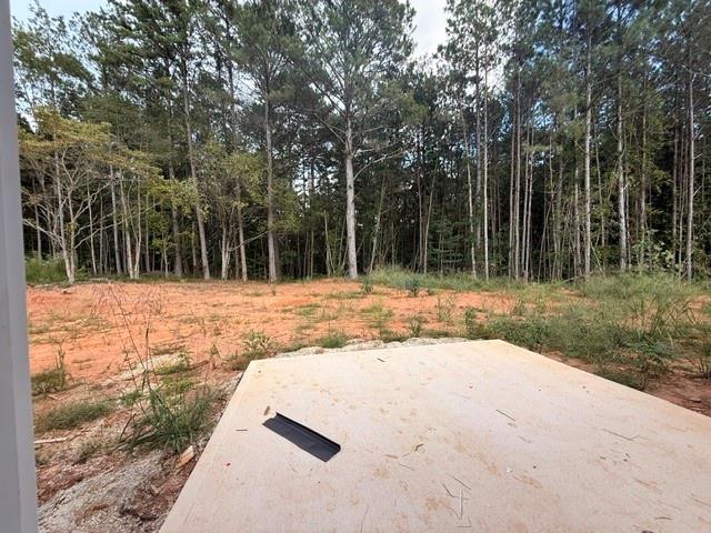 207 Loftis Road Temple, GA 30179 - Photo 7 of 20 Gallery Image 7