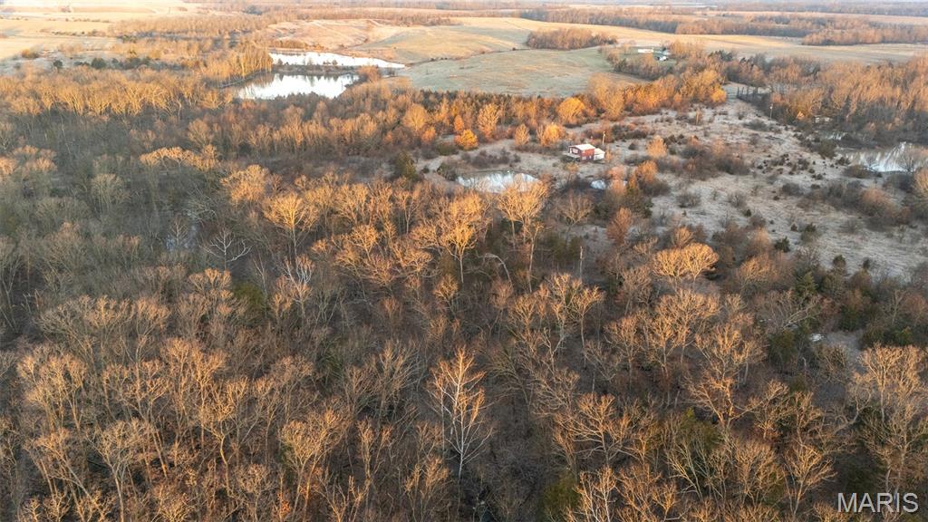 25764 Hopkins Road Perry, MO 63462 - Photo 13 of 36