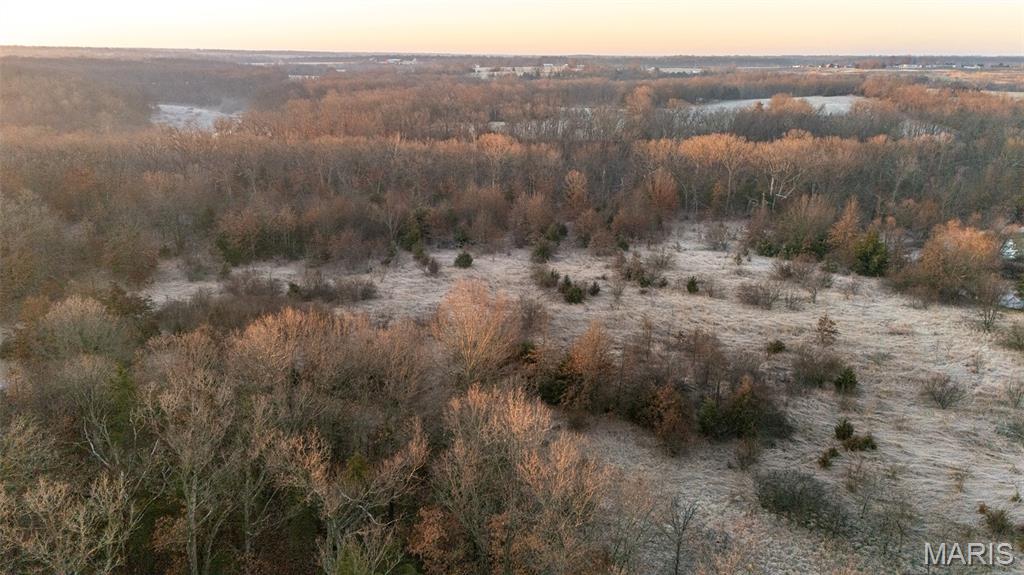 25764 Hopkins Road Perry, MO 63462 - Photo 14 of 36