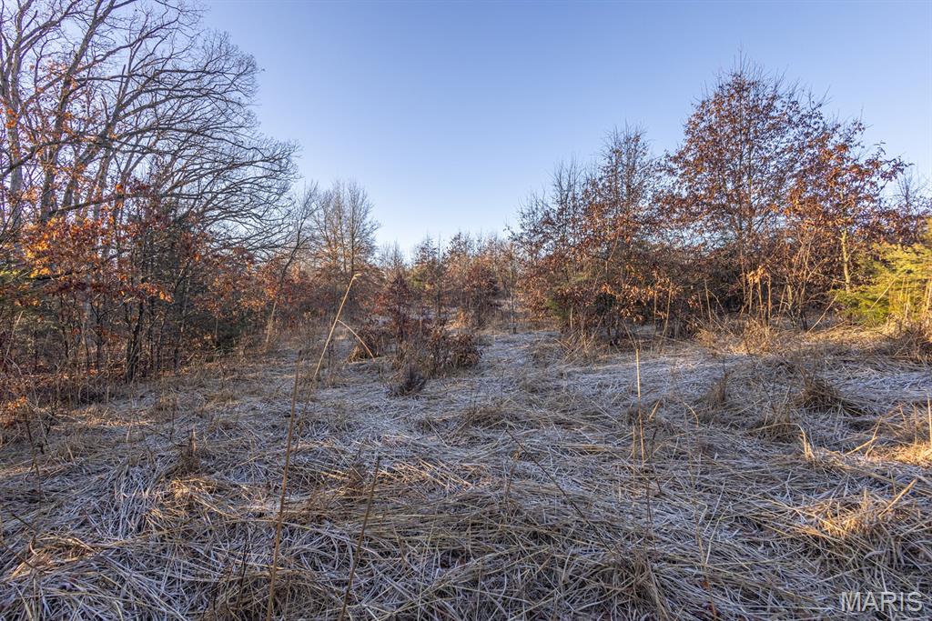 25764 Hopkins Road Perry, MO 63462 - Photo 26 of 36