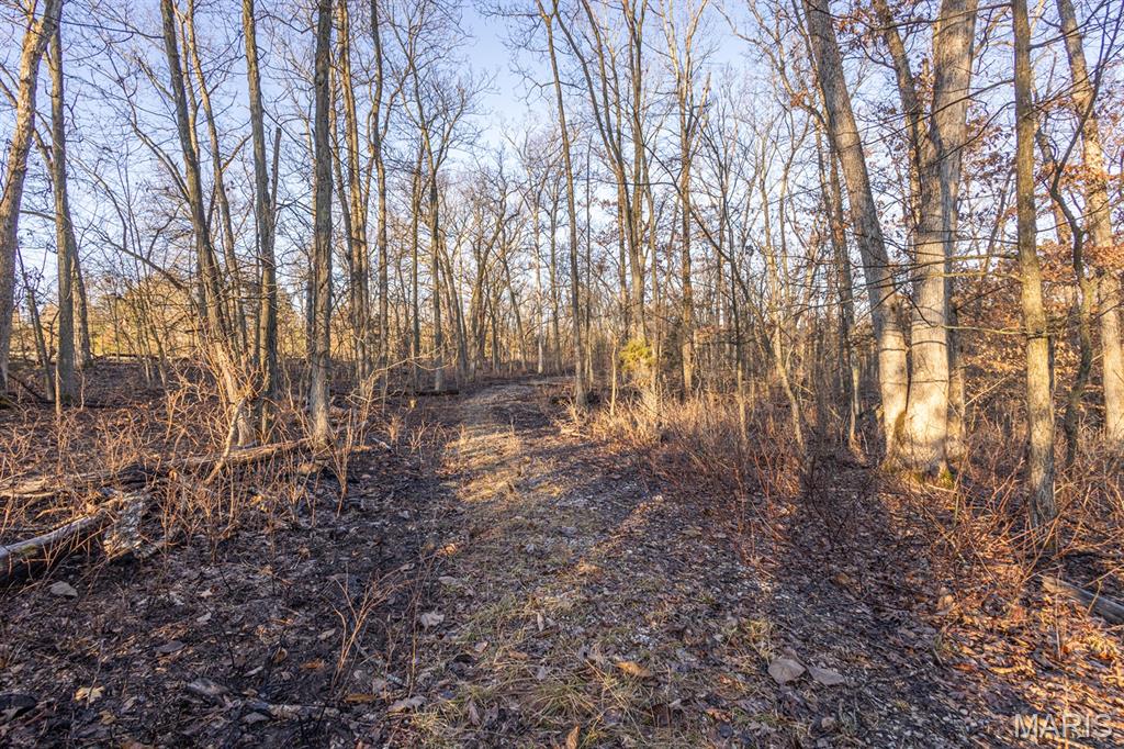 25764 Hopkins Road Perry, MO 63462 - Photo 28 of 36