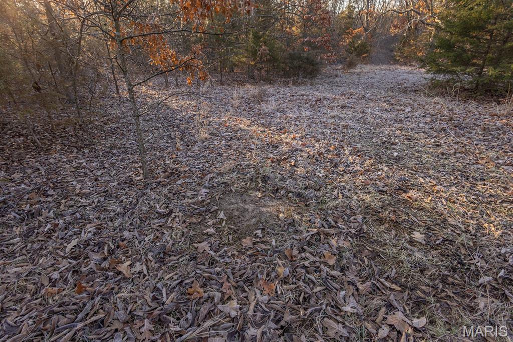 25764 Hopkins Road Perry, MO 63462 - Photo 31 of 36