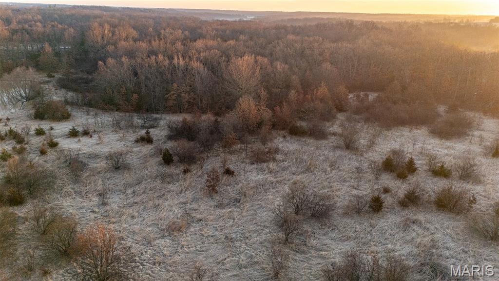 25764 Hopkins Road Perry, MO 63462 - Photo 10 of 36