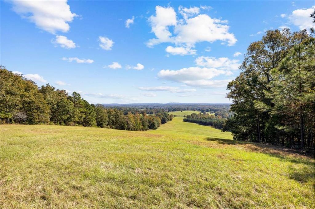 5225 Chalybeate Springs Road Woodland, GA 31836 - Photo 38 of 100