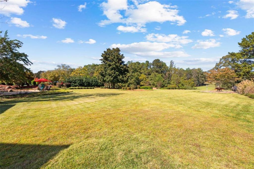 5225 Chalybeate Springs Road Woodland, GA 31836 - Photo 6 of 100