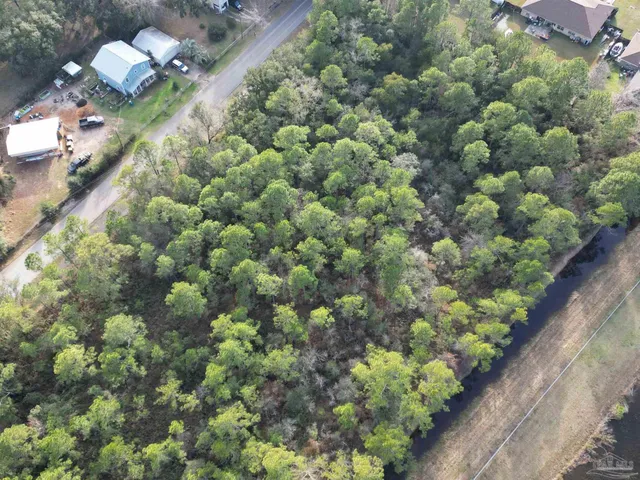 a view of a tree with a flower