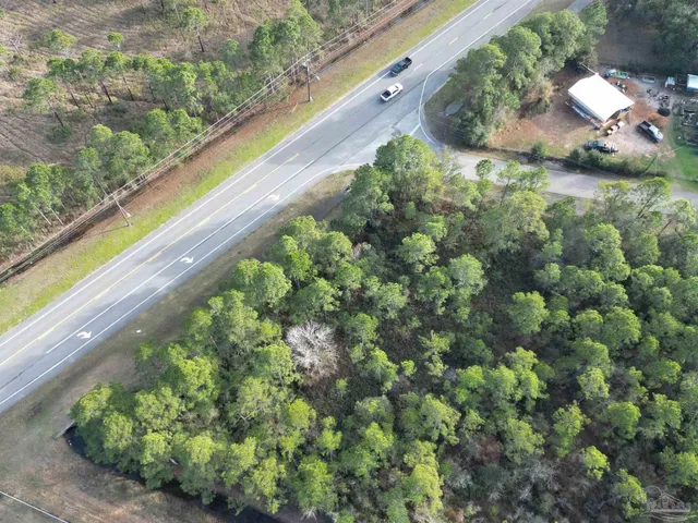 a view of a garden from a window