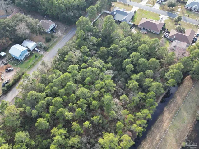 a view of a tree with a yard