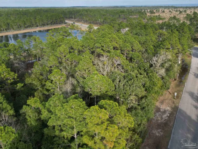 a view of a forest with a lake