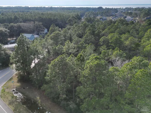 a view of a forest with a street