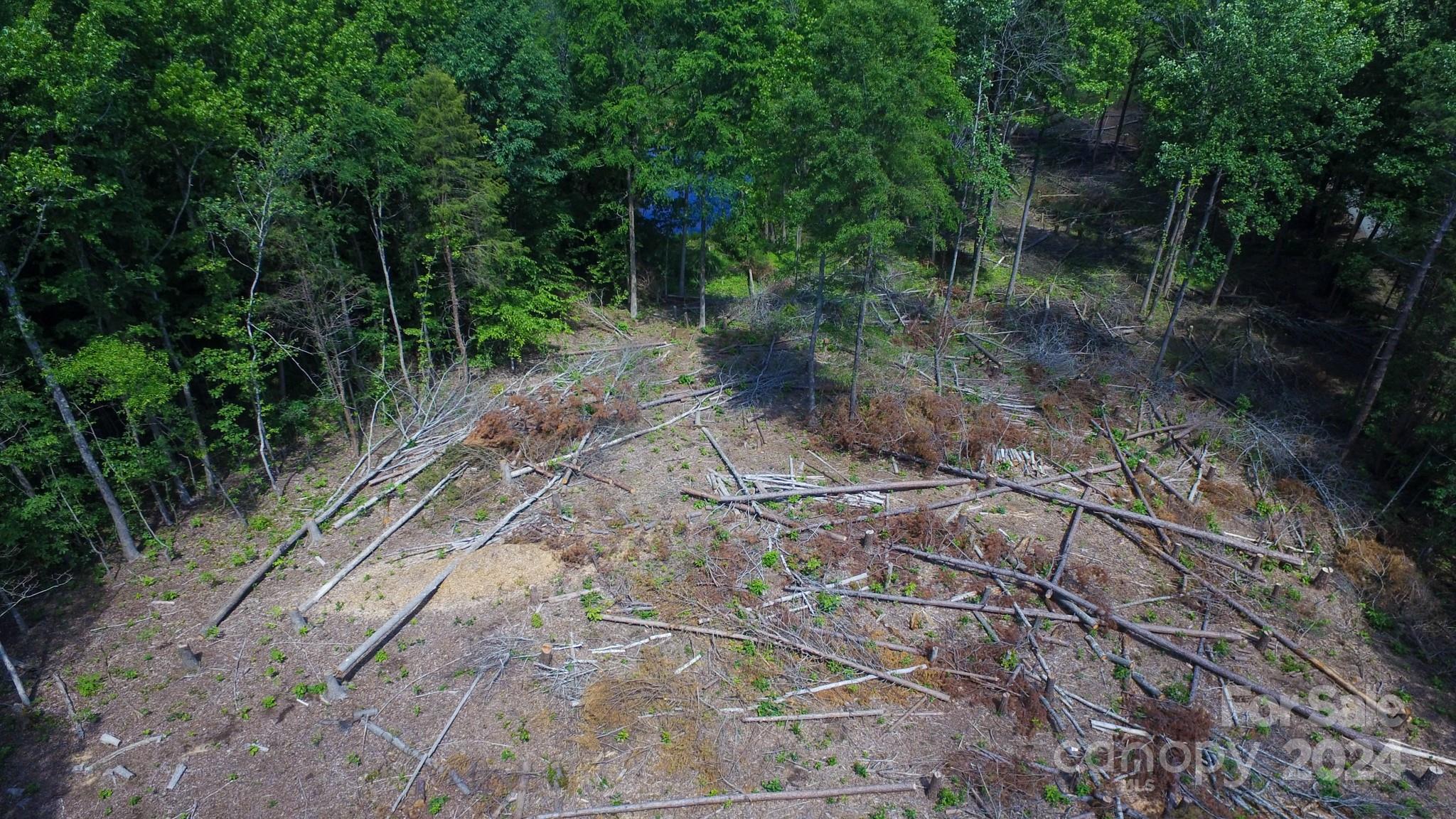 13490 Mullis Road Midland, NC 28107 - Photo 3 of 10 a pathway of a yard