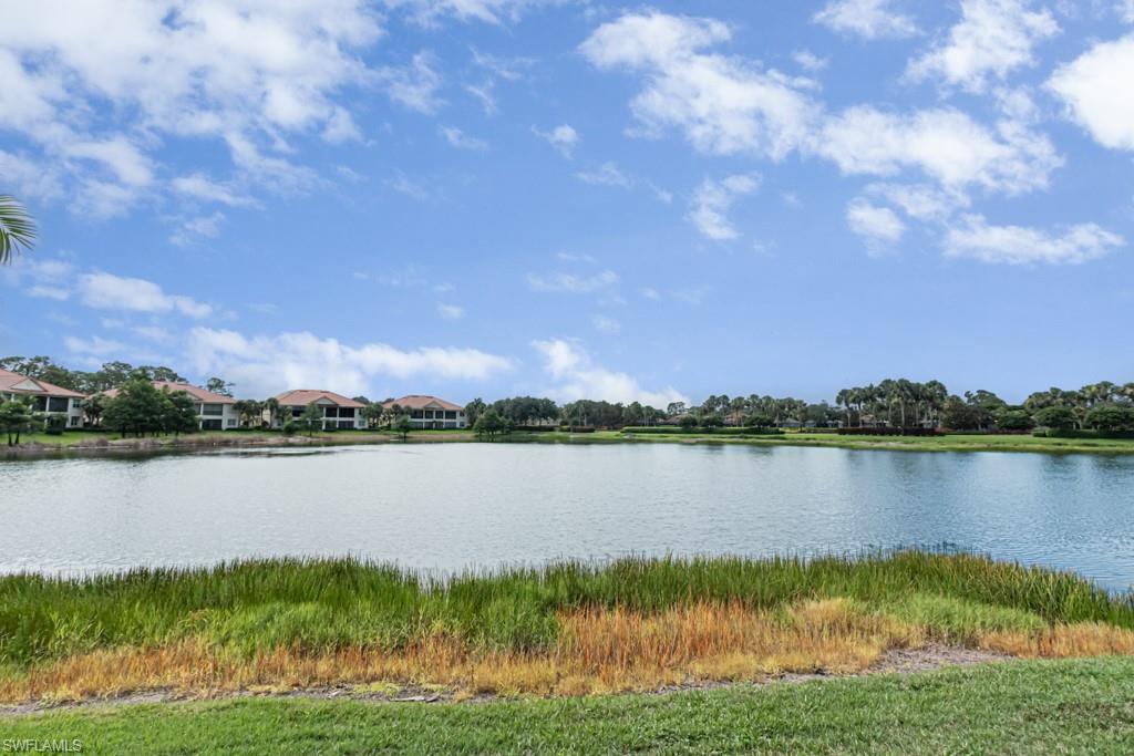 26448 Lucky Stone Road, Unit 202 Bonita Springs, FL 34135 - Photo 47 of 50