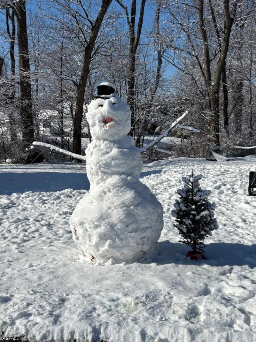 309 Jamestown Road Bridgewater, NJ 08807 - Photo 2 of 21