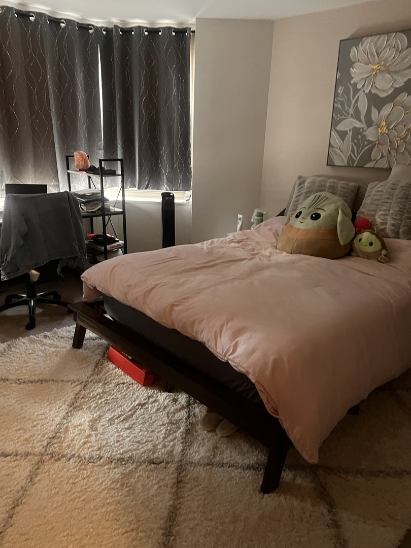 535 North Michigan Avenue, Unit 2505 Chicago, IL 60611 - Photo 3 of 4