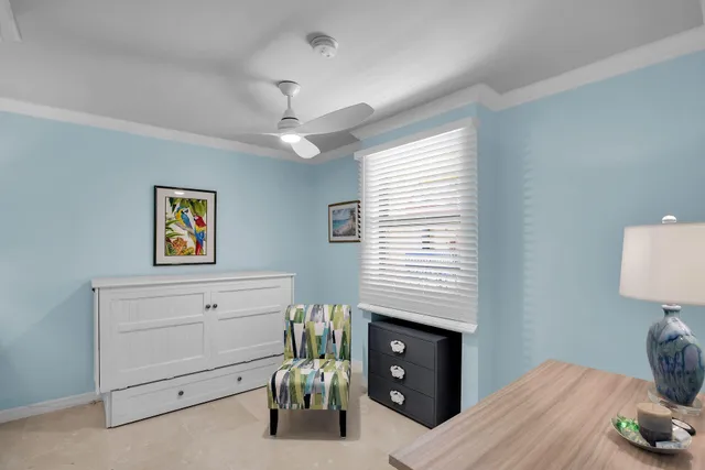 a view of a dry yard