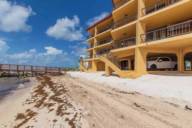 a swimming pool with a view of palm trees